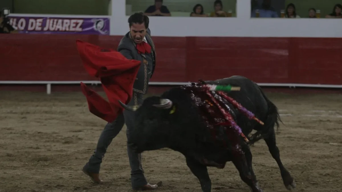Elimina SCJN prohibición de corridas de toros y peleas de gallos en Tepic