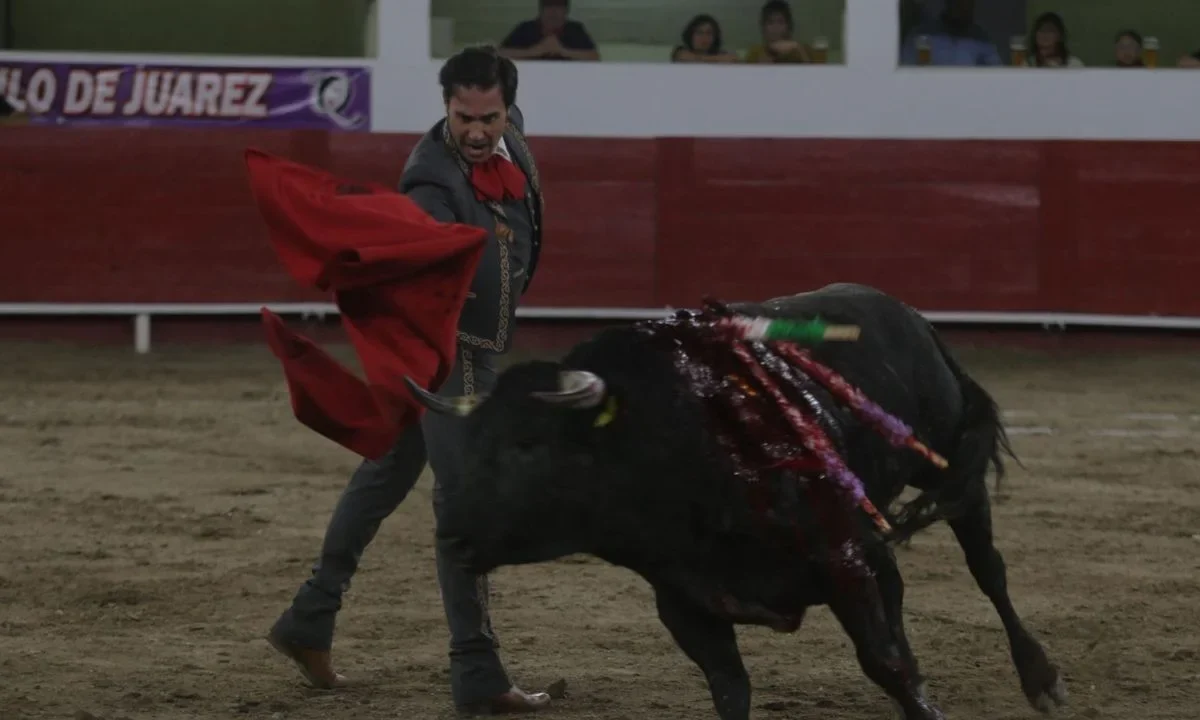 Elimina SCJN prohibición de corridas de toros y peleas de gallos en Tepic