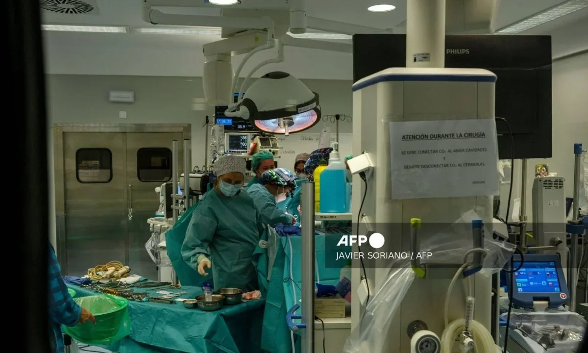 España logra primer trasplante facial con donante por eutanasia