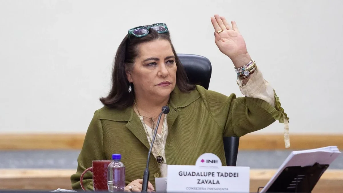 INE dará la batalla para defender juntas distritales y PREP, indica Taddei