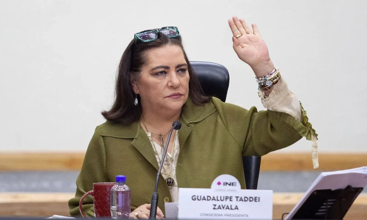 INE dará la batalla para defender juntas distritales y PREP, indica Taddei