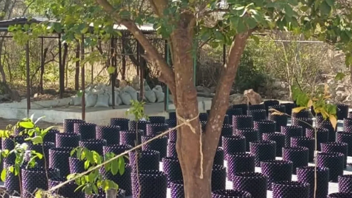 Mérida impulsa protección y mejora de áreas verdes