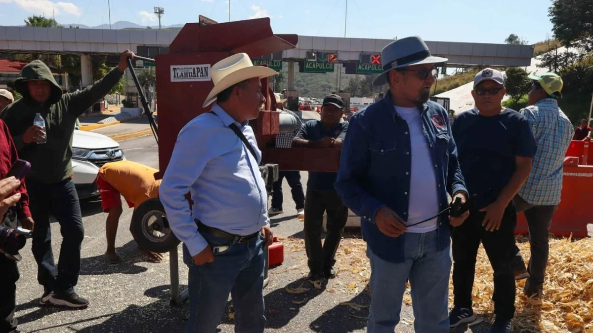 Productores de maíz blanco en 6 estados reciben incentivo de Agricultura