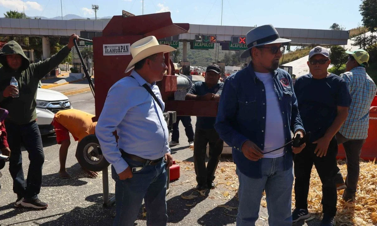 Productores de maíz blanco en 6 estados reciben incentivo de Agricultura