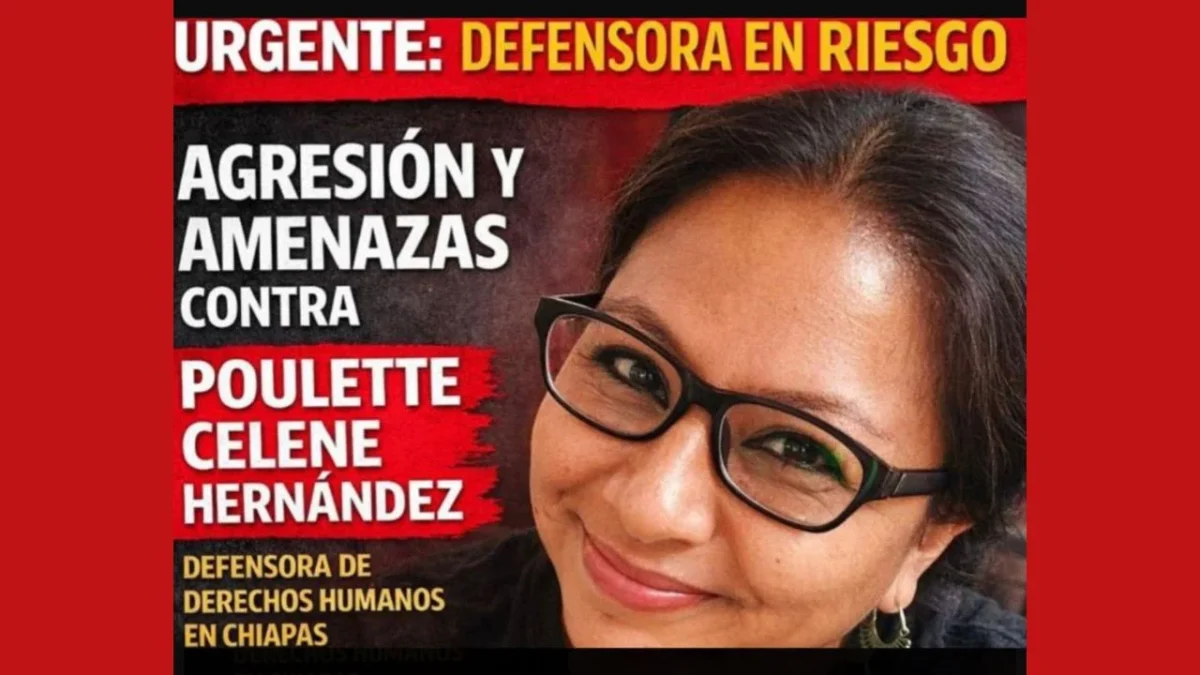 Alertan por agresiones contra defensora en la Costa de Chiapas; piden resguardo inmediato