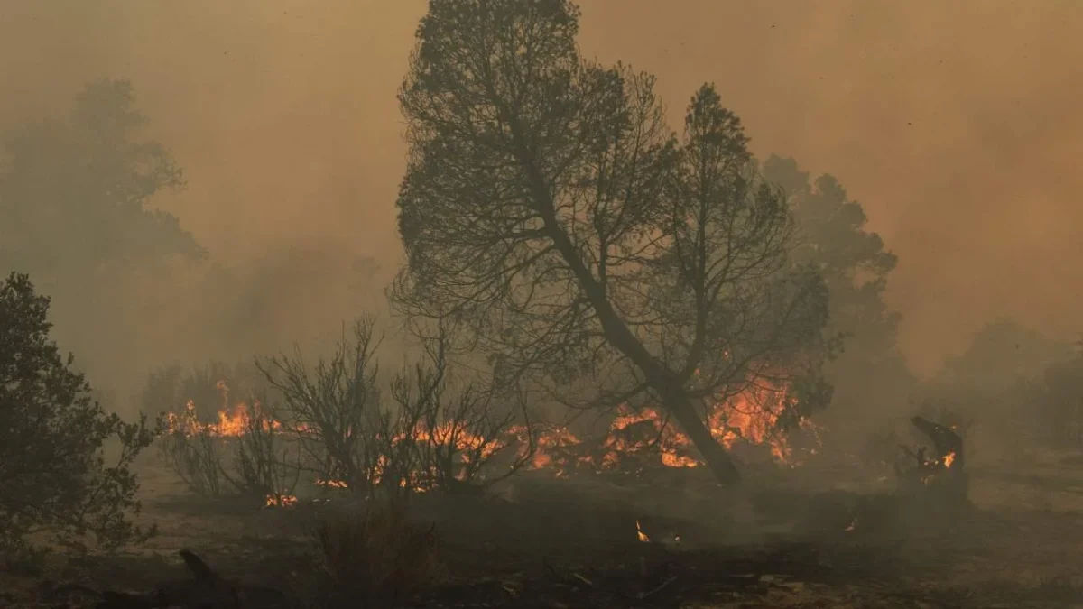 Hasta este sábado, la Comisión Nacional Forestal (Conafor) registra 19 incendios forestales activos.