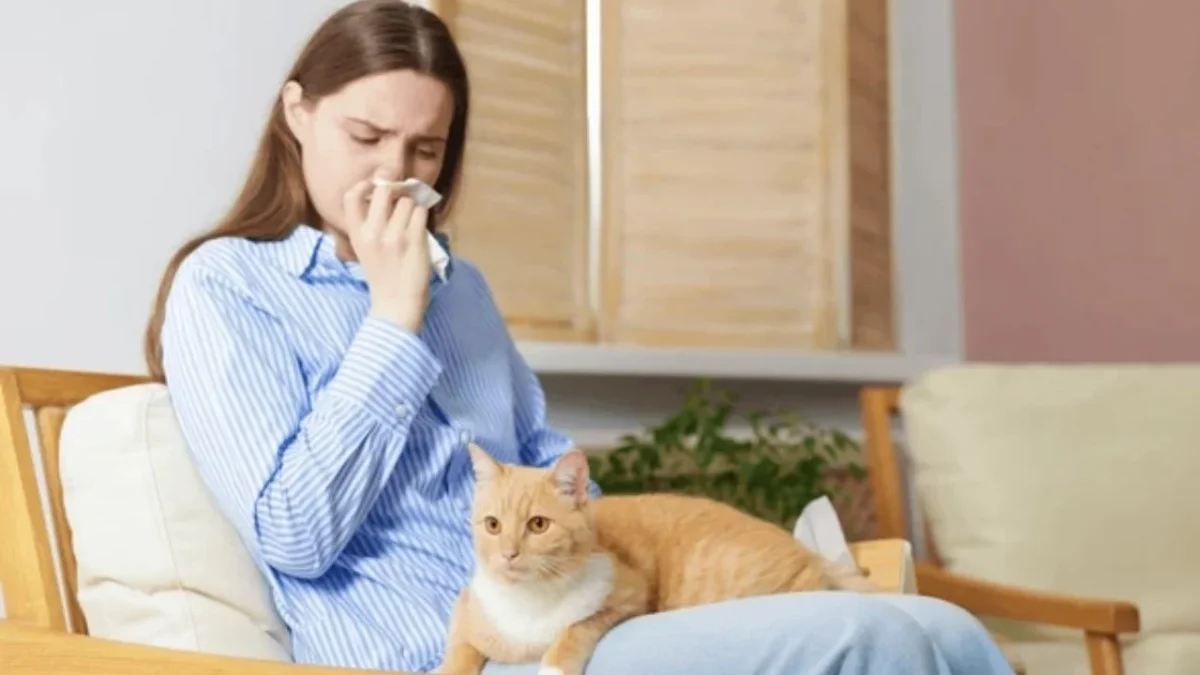 La Fel d1, es la proteína detrás de la alergia a los gatos, señala el IMSS-Bienestar
