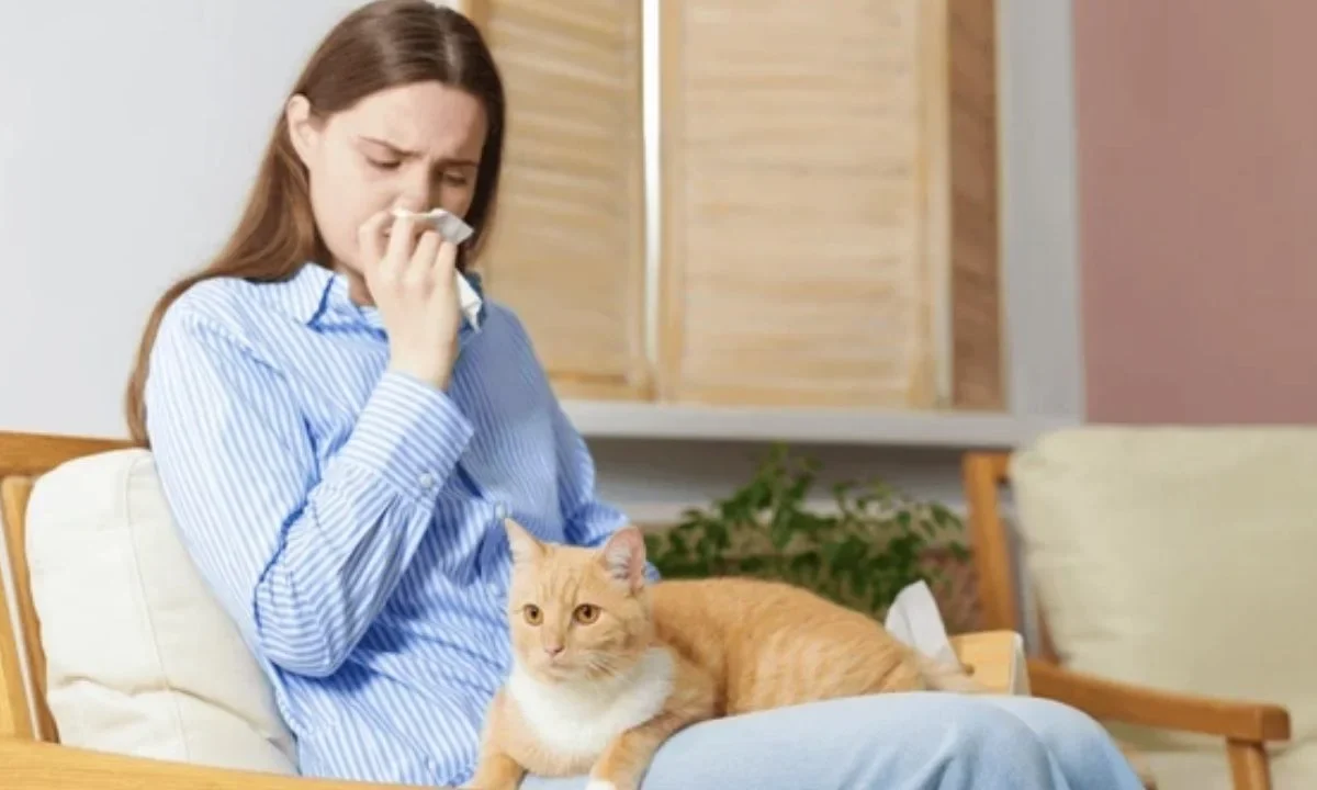 La Fel d1, es la proteína detrás de la alergia a los gatos, señala el IMSS-Bienestar