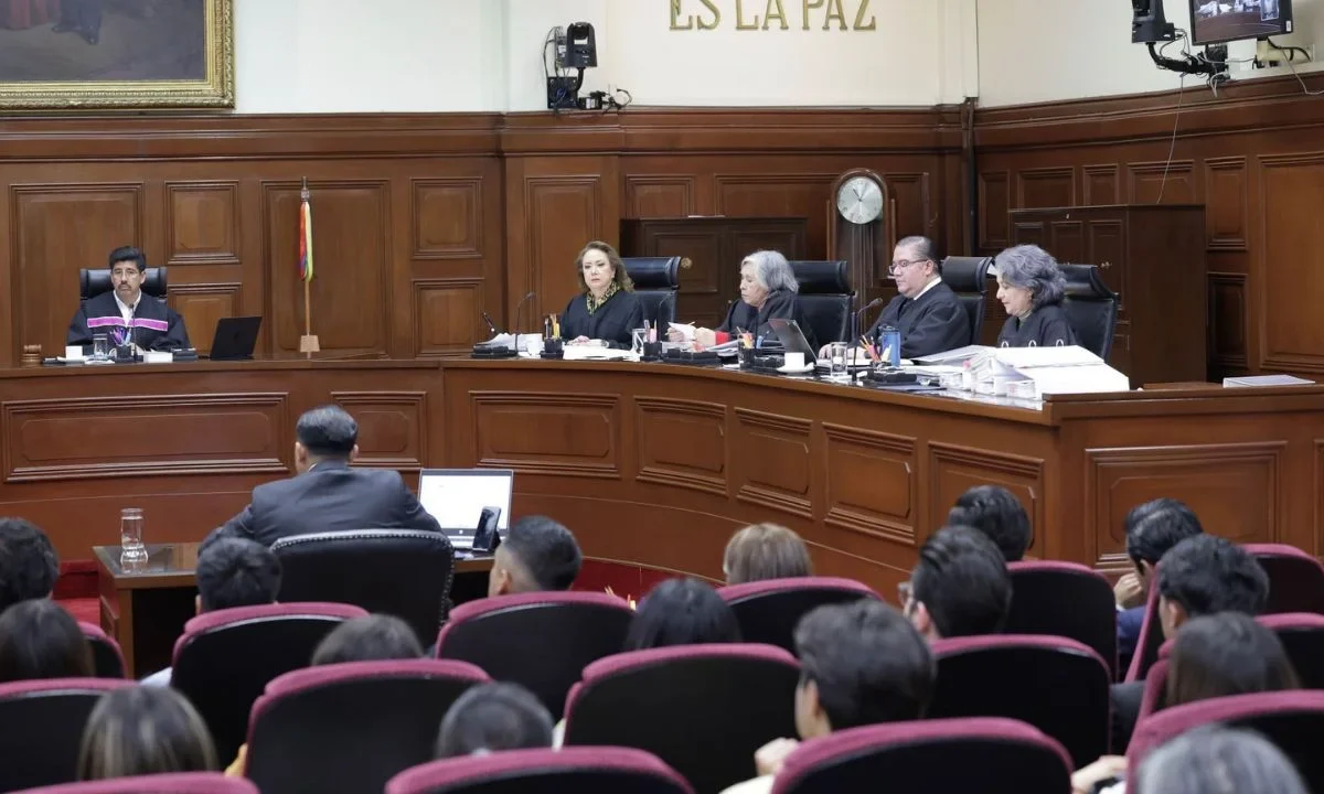 La SCJN estableció como jurisprudencia que todos los juzgadores del país pueden conocer y verificar contratos sobre maternidad subrogada.