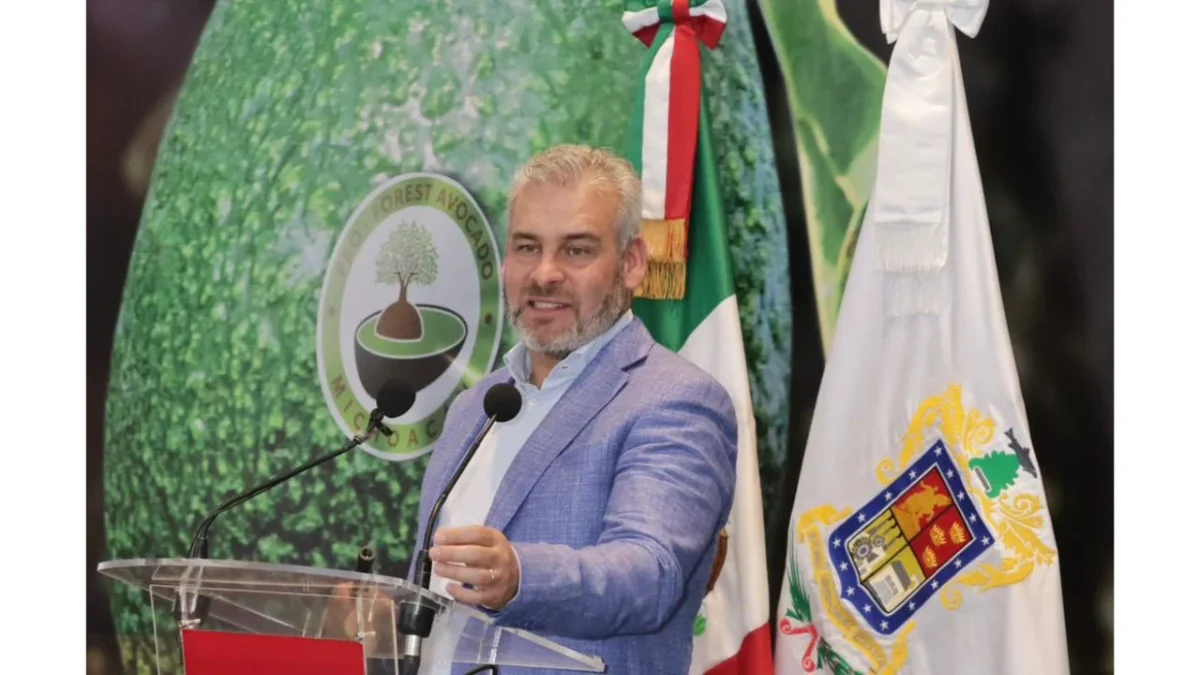 La certificación ambiental y la formalización laboral impulsan al sector aguacatero de Michoacán como referente productivo y sustentable para el comercio internacional.