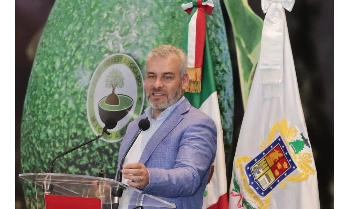 La certificación ambiental y la formalización laboral impulsan al sector aguacatero de Michoacán como referente productivo y sustentable para el comercio internacional.