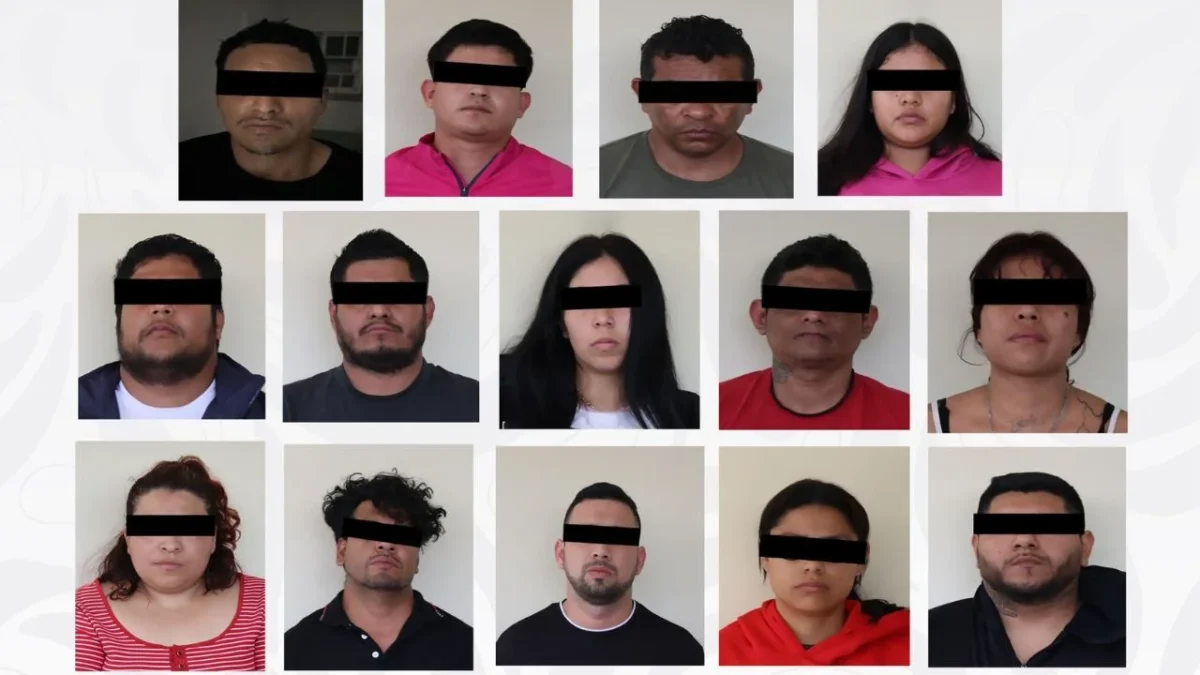 Elementos de fuerzas federales desplegaron un operativo simultáneo en distintos domicilios de Veracruz, donde aseguraron armas, granadas, droga y vehículos, y detuvieron a 14 personas