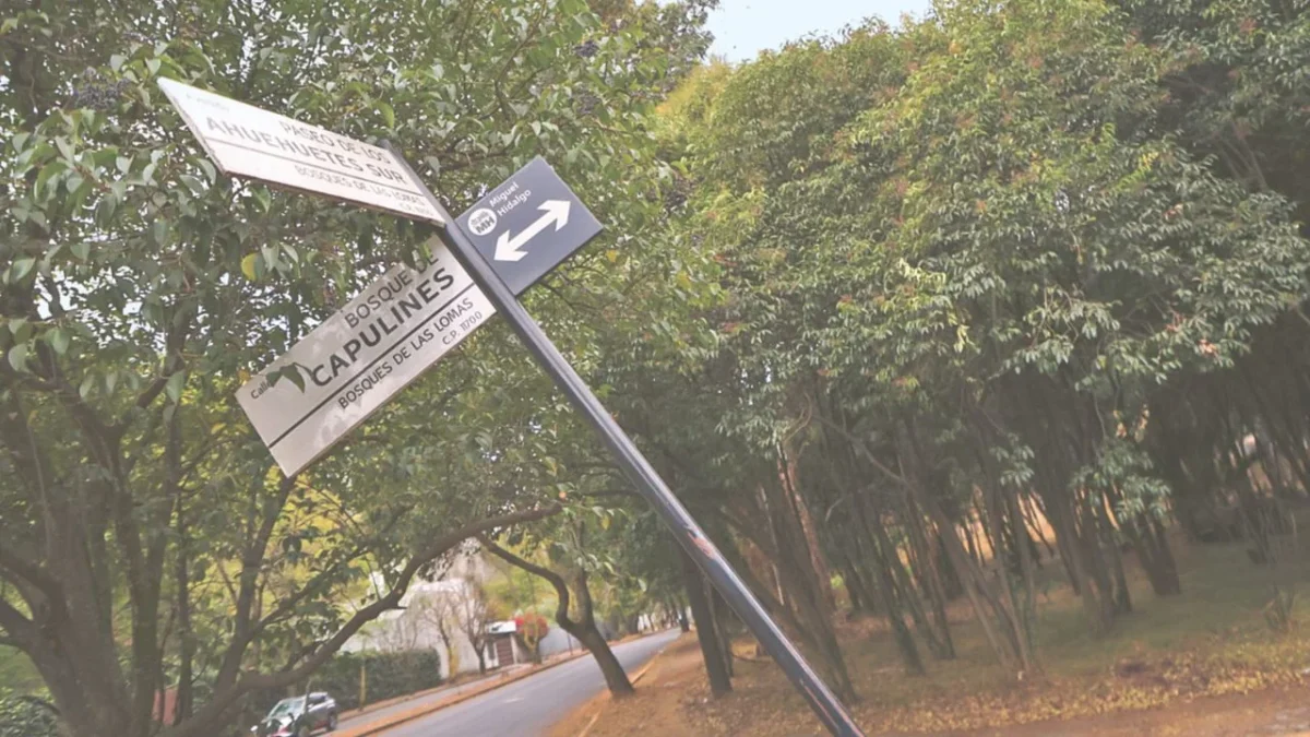 La falta de atención en Bosques de las Lomas refleja la situación generalizada en la alcaldía Miguel Hidalgo, dijo Raúl Paredes.