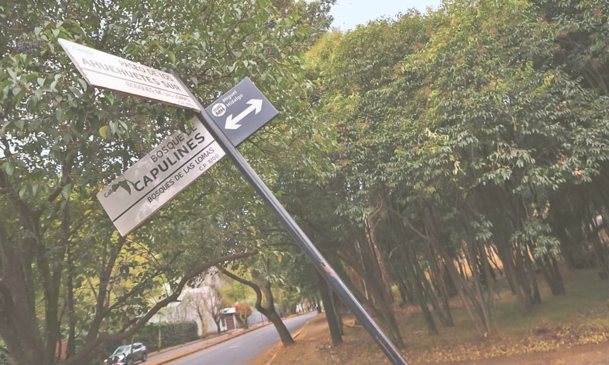 La falta de atención en Bosques de las Lomas refleja la situación generalizada en la alcaldía Miguel Hidalgo, dijo Raúl Paredes.