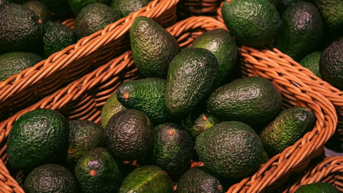 Viviremos un Super Bowl en el que el aguacate (oro verde) motivo de orgullo de nuestra economía, se pueda exportar a Estados Unidos en condiciones regulares