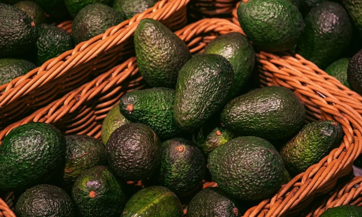 Viviremos un Super Bowl en el que el aguacate (oro verde) motivo de orgullo de nuestra economía, se pueda exportar a Estados Unidos en condiciones regulares