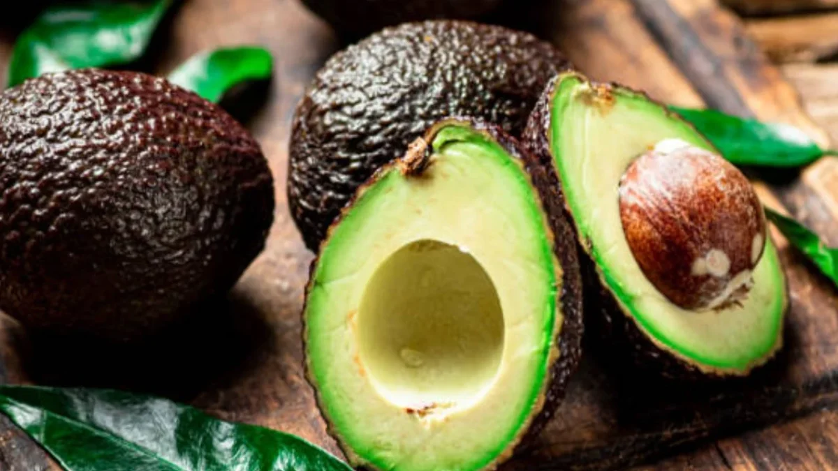 aguacate michoacán ebrard