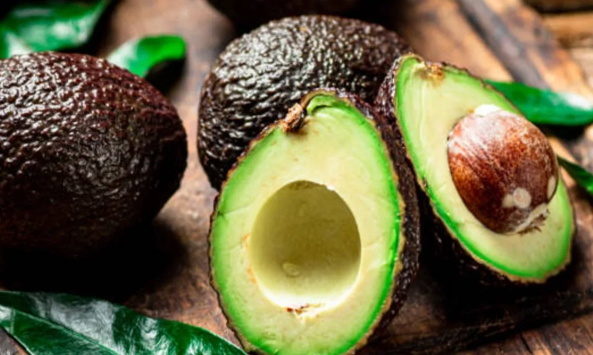 aguacate michoacán ebrard
