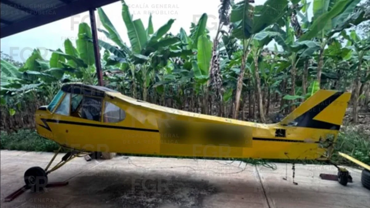 La FGR aseguró seis avionetas tras un cateo realizado en el municipio de Otatitlán, Veracruz. por lo que inició una carpeta de investigación. 