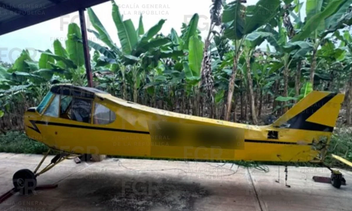 La FGR aseguró seis avionetas tras un cateo realizado en el municipio de Otatitlán, Veracruz. por lo que inició una carpeta de investigación. 