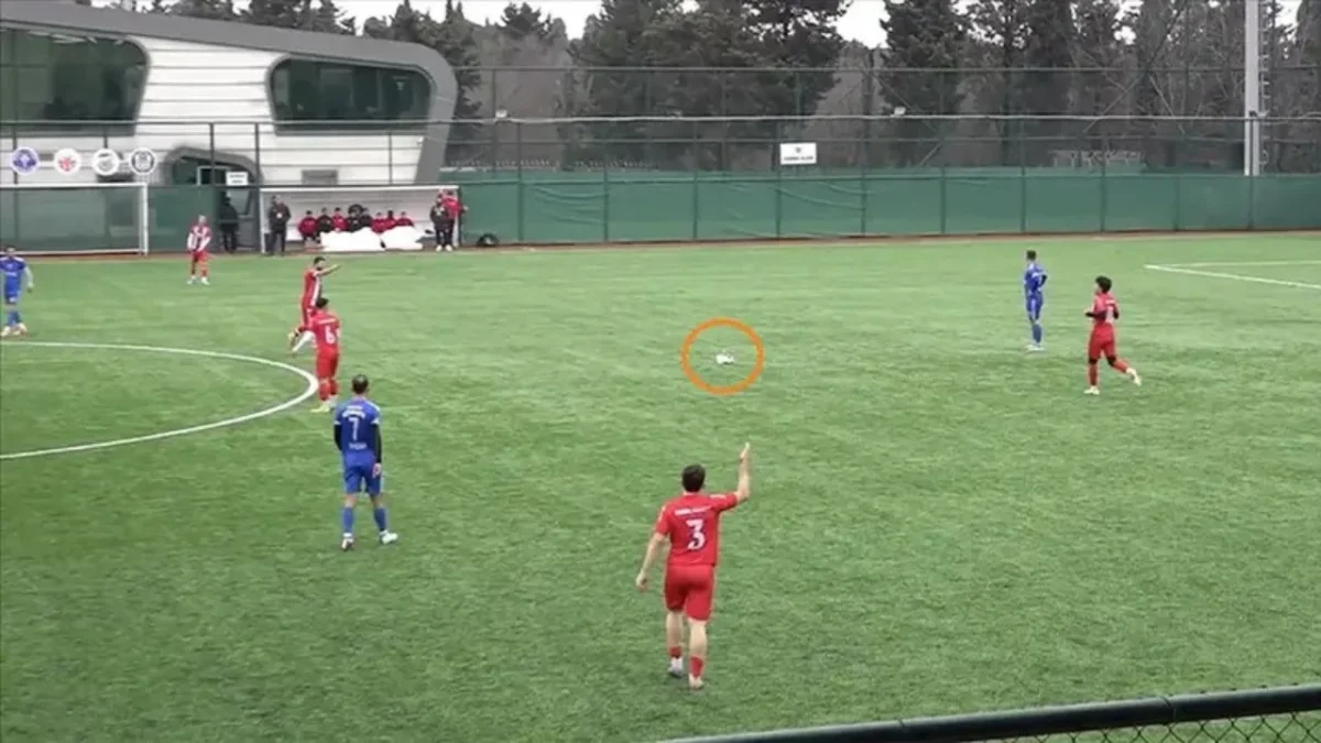 Una gaviota recibió un balonazo en pleno partido del futbol amateur en Estambul, pero un jugador la salvó al aplicarle RCP.