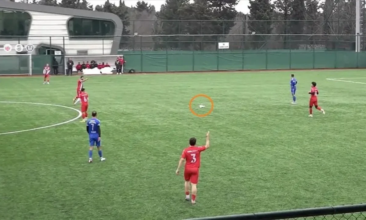 Una gaviota recibió un balonazo en pleno partido del futbol amateur en Estambul, pero un jugador la salvó al aplicarle RCP.