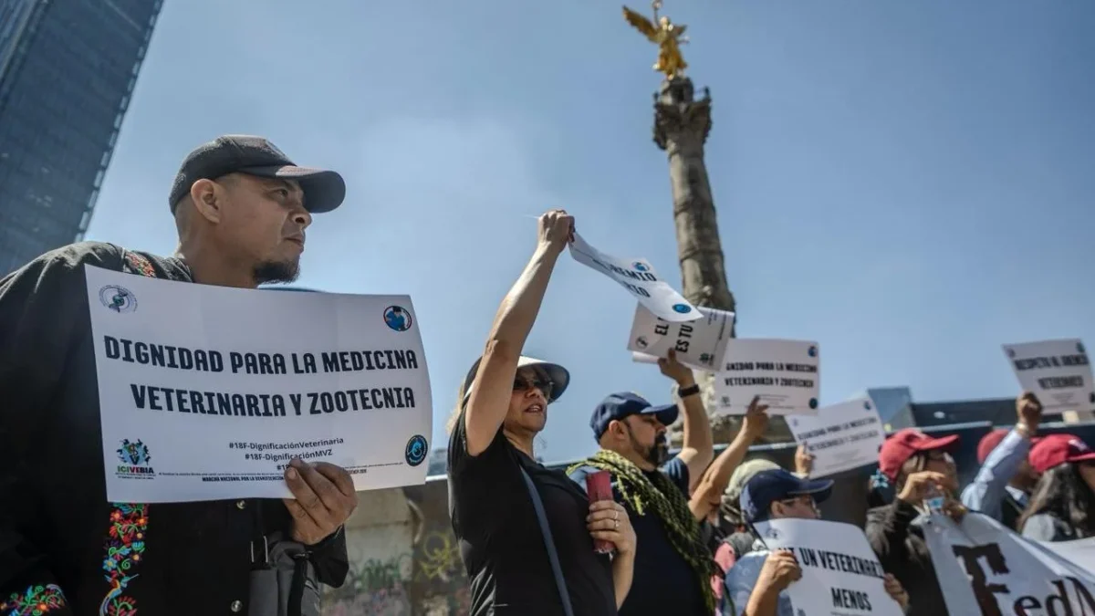 Mira las marchas y concentraciones para hoy 19 de febrero