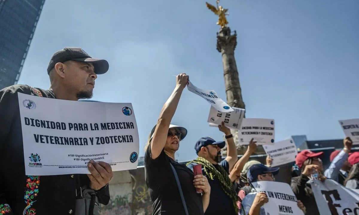 Mira las marchas y concentraciones para hoy 19 de febrero