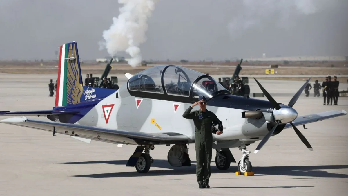 La Cámara de Diputados pidió a la Fuerza Aérea Mexicana no estar sujeta a decisiones políticas que deterioren su imagen.