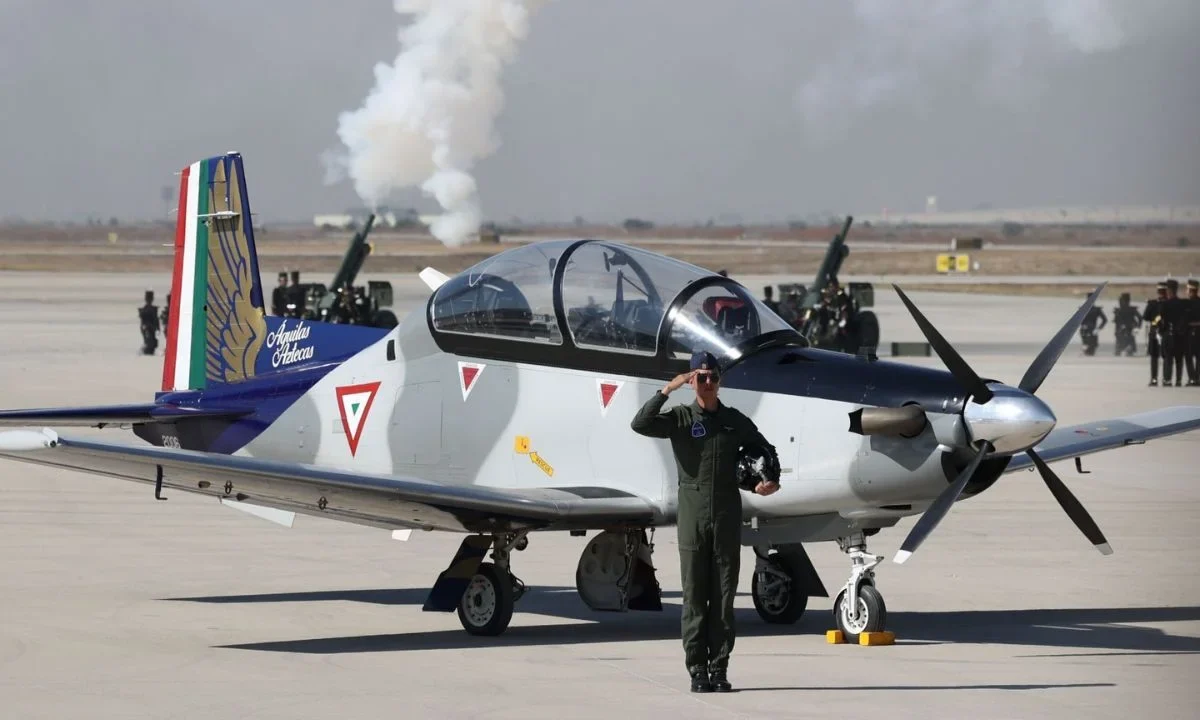 La Cámara de Diputados pidió a la Fuerza Aérea Mexicana no estar sujeta a decisiones políticas que deterioren su imagen.