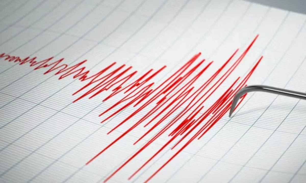 El sismo de magnitud 5,7 ocurrido la tarde de este domingo 8 de febrero en Oaxaca no dejó personas lesionadas ni daños estructurales.