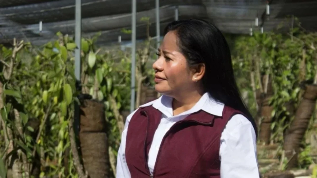 La presidenta municipal de Ayotoxco de Guerrero, Alicia Guerrero Hernández, salió ilesa de un ataque armado registrado en Tlaxcala.
