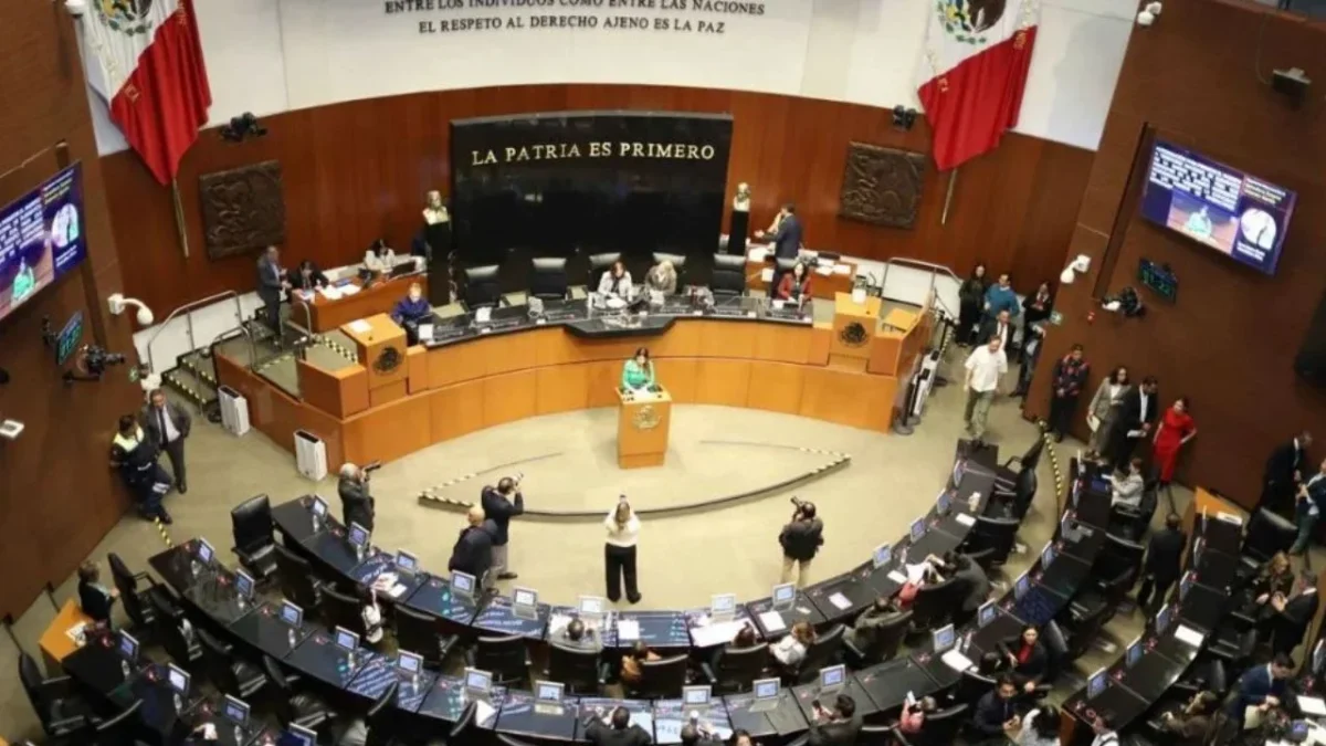 Laura Itzel Castillo dijo que esta semana esperan el proyecto de decreto que enviará Sheinbaum sobre reforma de pensiones del artículo 127.