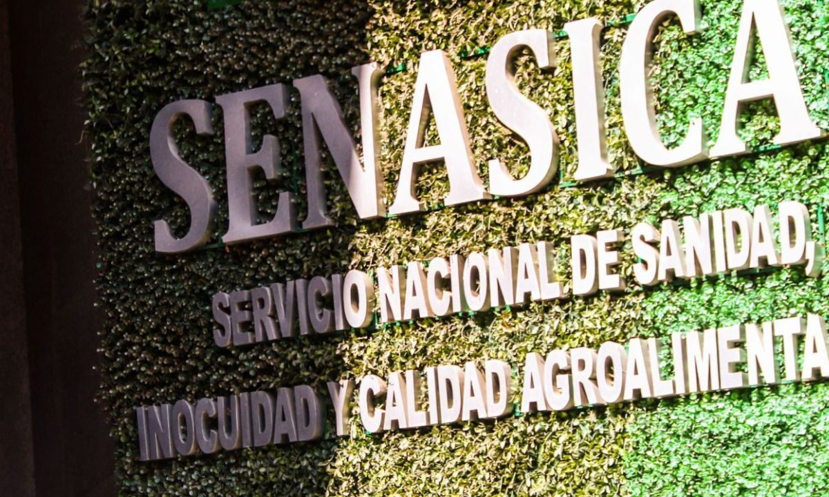 Senasica realizó el pago por vuelos que se contraponen en lugares y tiempos, así como por vuelos con vigencia vencida, por 2.1 mdp.