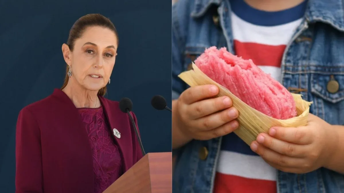 Sheinbaum informó que se analiza cómo pudo llegar fentanilo a tamales, luego de que una niña diera positivo por presuntamente comerlo.