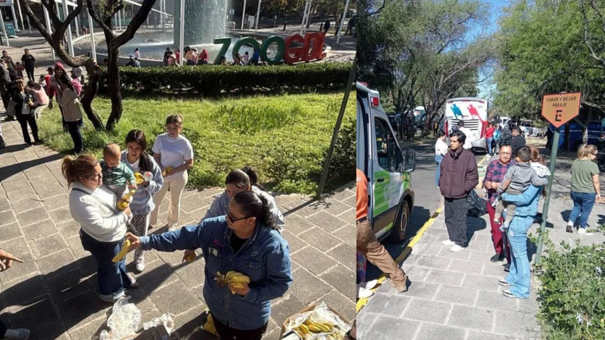 Por la inseguridad provocada por la muerte de 'El Mencho', se optó por dejar que los visitantes permanecieran en el Zoológico de Guadalajara.
