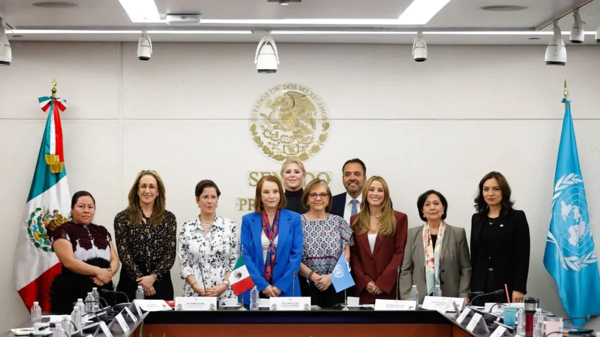Urge relatora de ONU sobre violencia contra las mujeres destinar recursos para proteger a víctimas
