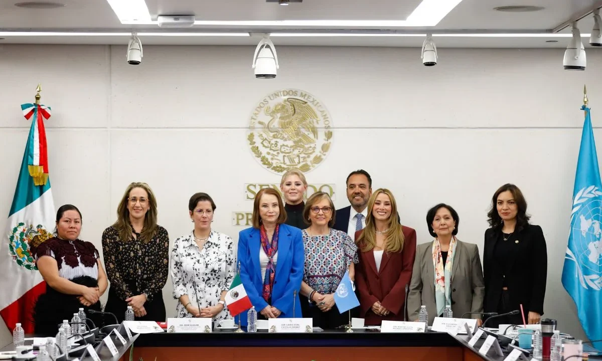 Urge relatora de ONU sobre violencia contra las mujeres destinar recursos para proteger a víctimas