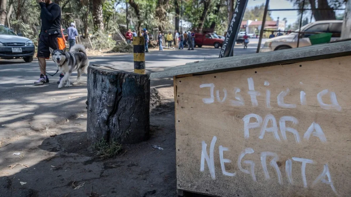Alerta en Xochimilco, retorna asesino de perros