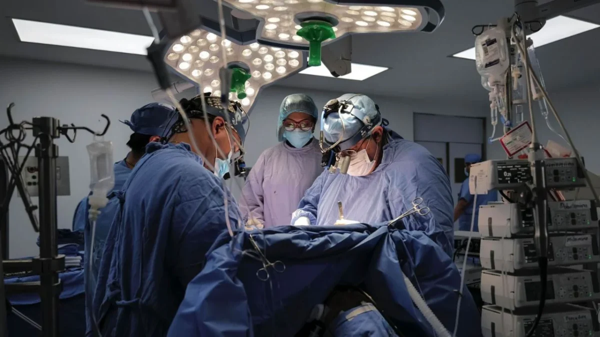 Cerca de 4 mil 500 trasplantes se realizaron en el sector salud entre 2025 y 2026