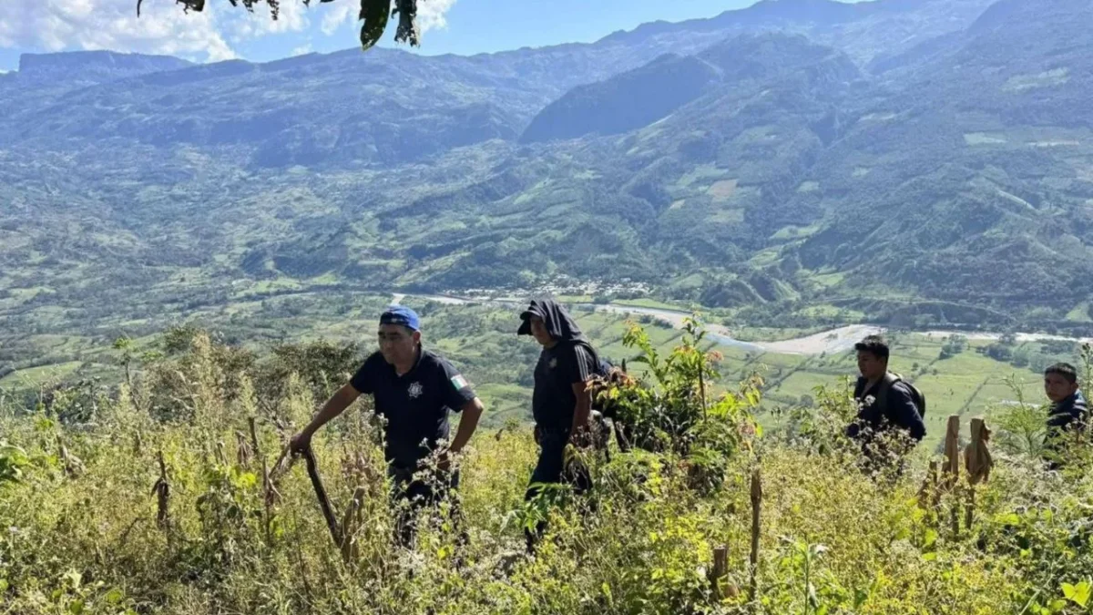 Desaparición de niña moviliza a las autoridades de Chiapas