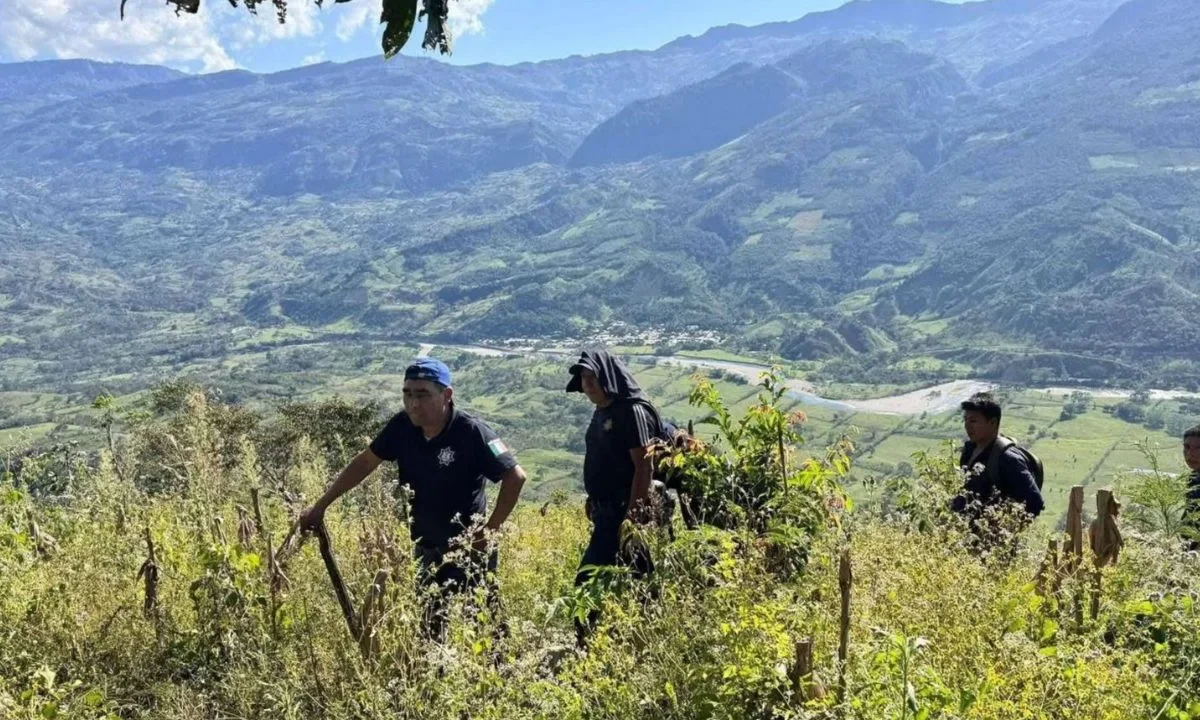 Desaparición de niña moviliza a las autoridades de Chiapas