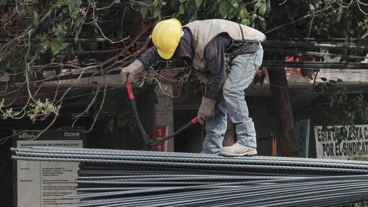 Economía inspecciona empresas acereras sobre legalidad de operaciones