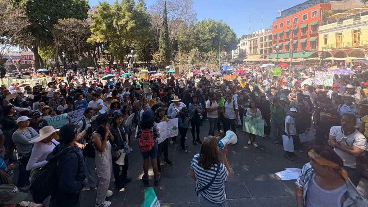 Ambientalistas se manifestaron en contra del Cablebús que contempla la restitución de por lo menos 740 árboles en Puebla.