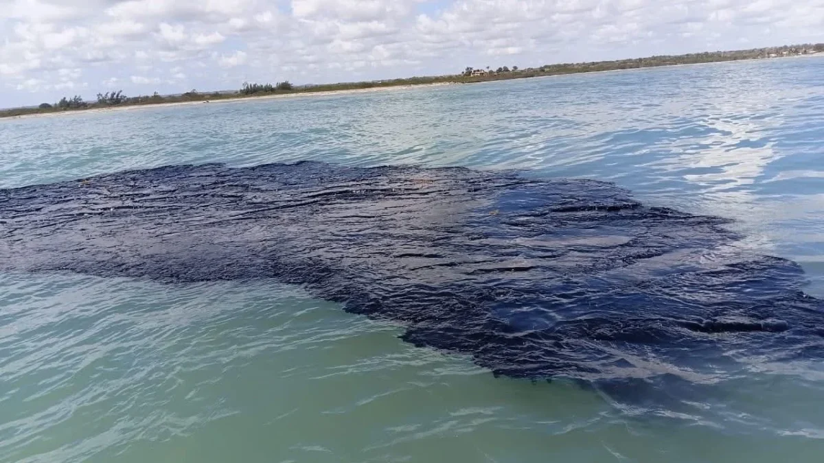 Apoya Pemex en limpieza por derrame de petróleo en Golfo de México: Sheinbaum