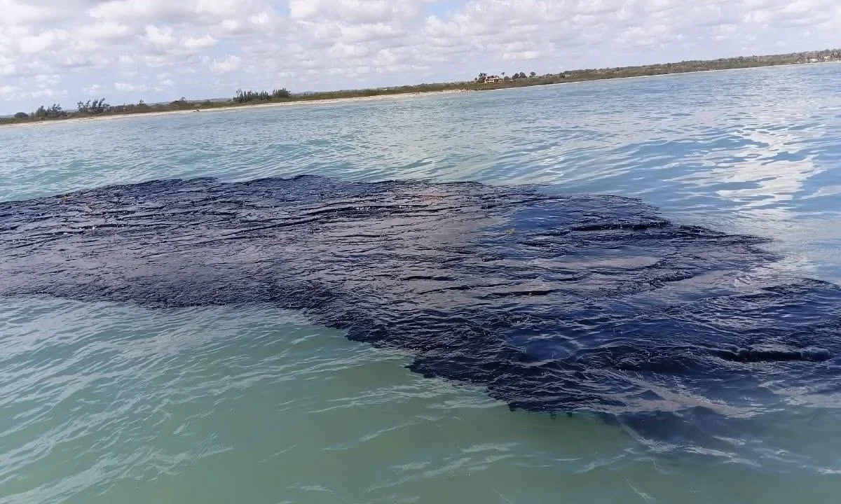 Apoya Pemex en limpieza por derrame de petróleo en Golfo de México: Sheinbaum