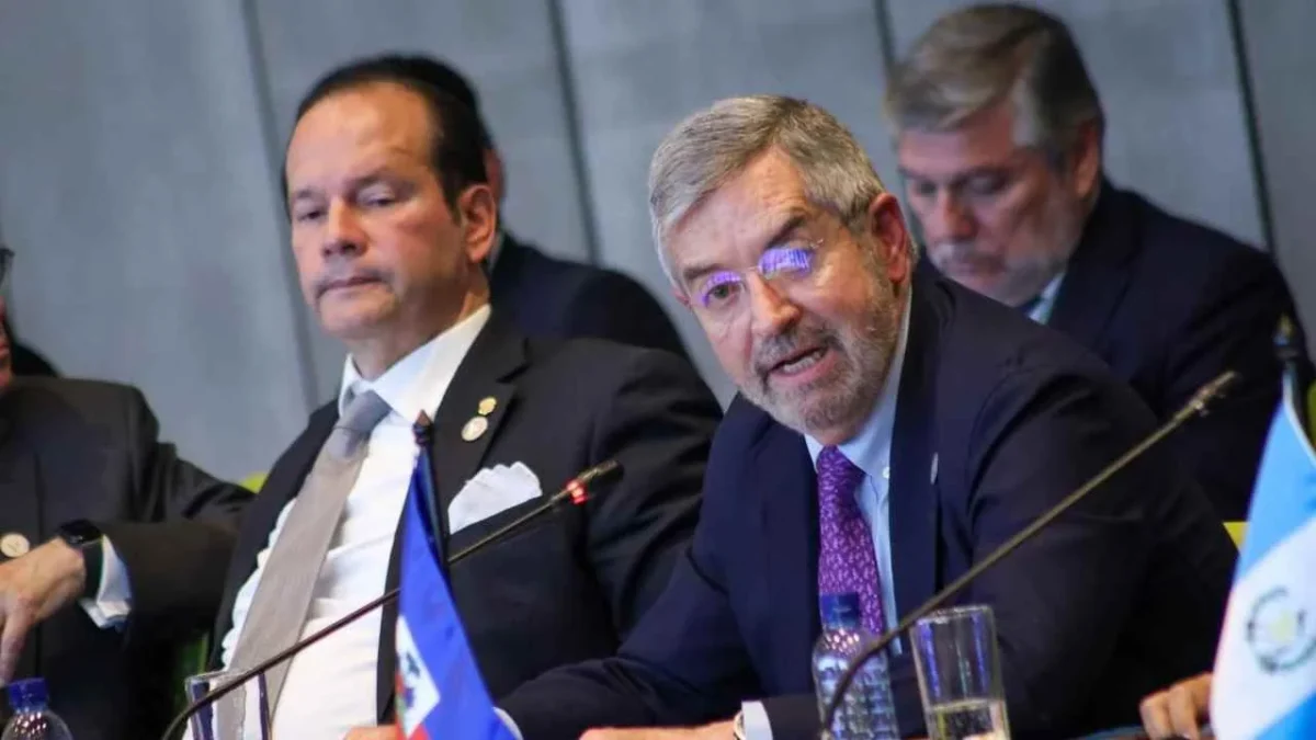 El canciller Juan Ramón de la Fuente pugna por una mayor solidaridad entre países de América Latina.