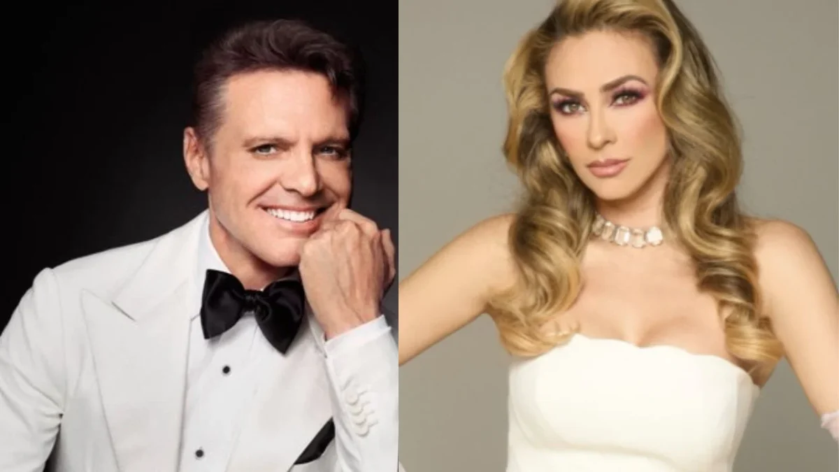 Tras permanecer en el anonimato 19 años, al fin se le captó en cámaras al hijo mayor de Luis Miguel y Aracely Arámbula, Miguel Gallegos. 