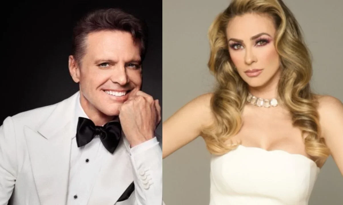 Tras permanecer en el anonimato 19 años, al fin se le captó en cámaras al hijo mayor de Luis Miguel y Aracely Arámbula, Miguel Gallegos. 