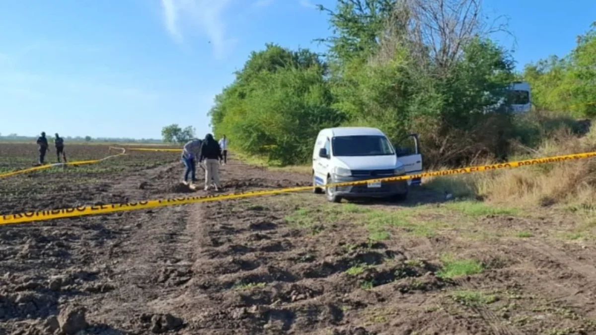 La Fiscalía de Sinaloa confirmó el hallazgo de 4 fosas en un predio ubicado en Elota, en las cuales se encontraron 2 cadáveres y 3 osamentas.
